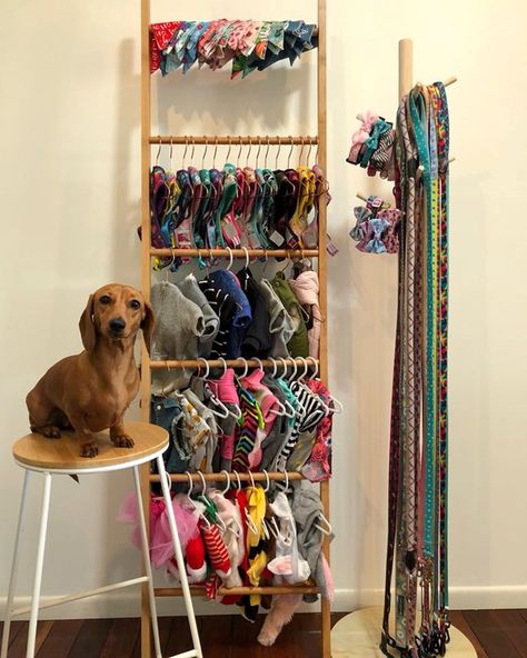 Dog Wardrobe, High Dog, Pet Store Display, Kmart Hack, Dog Closet, Dog Luxury, Dog Lifestyle, Dachshund Funny, Dog Grooming Salons