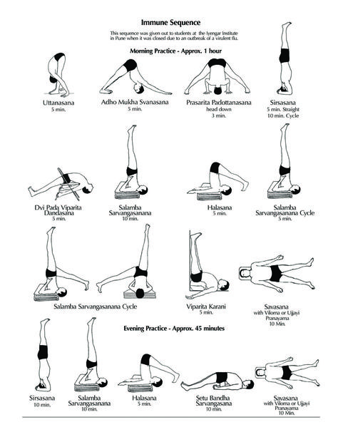 Home Practice Immune Sequence | Ramamani Iyengar Memorial Yoga Institute (RIMYI), Poona, India: http://yogaforbeginners-andmore.blogspot.com/2014/01/yoga-home-practice-immune-sequence.html Bks Iyengar Yoga, Iyengar Yoga Poses, Morning Yoga Sequences, Bks Iyengar, Yoga Series, Yoga Ashtanga, Yoga Home, Ashtanga Vinyasa Yoga, Frosé