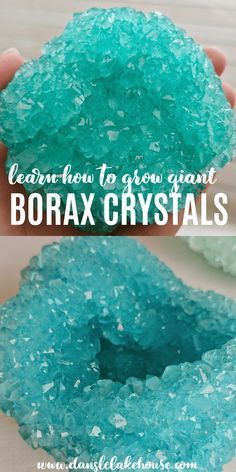 Borax Seashells, Borax Geodes, Borax Crystals Diy Deer Skull, How To Make Borax Crystals, Borax Crystals Diy Ideas, Borax Crystals Diy Skull, Crystal Art Crafts, Giant Geode, Diy Crystal Growing