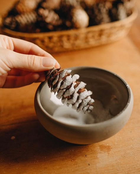 Winter Herb Garden, Herb Garden Indoor, Cottagecore Winter, Make A Garland, Zero Waste Christmas, Winter Decorating Ideas, Natural Christmas Decor, Indoor Greenery, Fake Snow