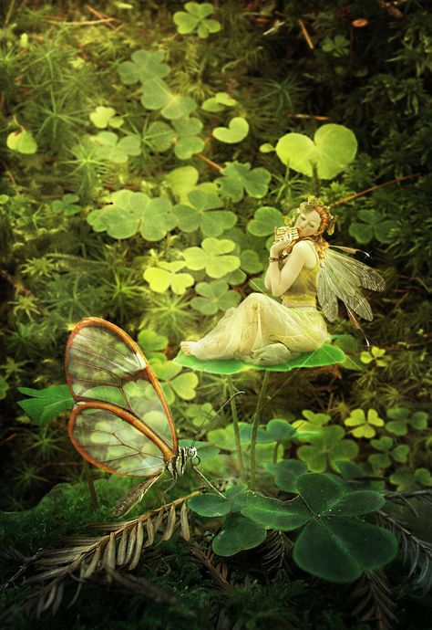 Irish Fae by JinxMim Irish Fairy, Fantasy Fairies, Believe In Fairies, Fairy World, Fairy Artwork, Fairy Magic, Fairies Elves, Fantasy Fairy, Mystical Creatures