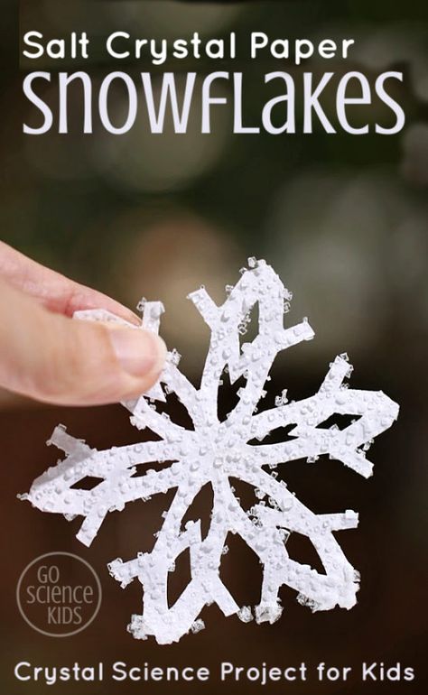 How to make beautiful Salt Crystal Snowflakes from just ordinary things you have at home like paper, salt and scissors! Great winter snow day activity, and you can introduce concepts like how some things dissolve in water, supersaturation, crystallization... Plus, it's fun! From Go Science Kids.  #snowflake #snowflakes #saltcrystals #crystalcrafts #sciencecraft #funscience #winterscience #scienceactivities Salt Crystal Snowflakes, Grinch Handprint Craft, Grinch Handprint, Original Grinch, Science Project For Kids, Star Wars Snowflakes, Indoor Snow, Winter Stem, Holiday Stem