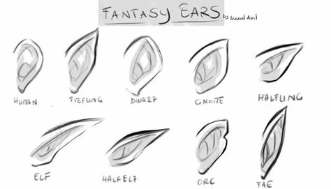 Anime Elf Ears, Elf Ears Drawing, Ears Drawing, Elf Drawings, How To Draw Ears, Arte Nerd, Anime Elf, Poses Drawing, Elf Ears