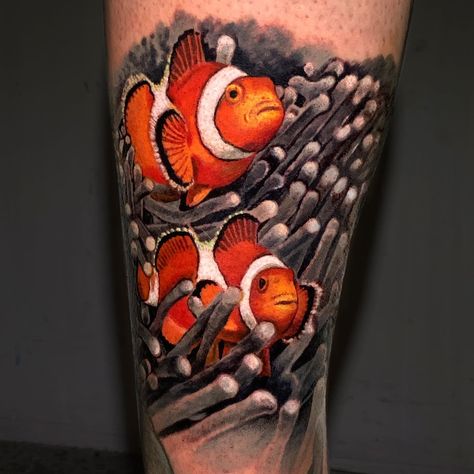 Clown Fish Tattoo, tomatoe clown fish tattoo, tomato clown fish tattoo, clown fish tattoo design, clown fish tattoo designs, cute clown fish tattoo, multi clown fish tattoo, american traditional clown fish tattoo, clown fish tattoo meaning, small clown fish tattoo, clown fish tattoo outline, #clownfish #clownfishtattoo #sleeveprogress #seasleeve #shark #sharktattoos #localtattooartist #localtattooshop #shoplocal #siouxfallls #inked #inklife #customcreations #inkstagram #inkslinger Simple Fishing Tattoo, American Traditional Clown, Small Fishing Tattoo, Clown Fish Tattoo, Tattoo Fishing, Ocean Theme Tattoos, Fish Tattoo Design, Ocean Sleeve Tattoos, Tattoo Koi