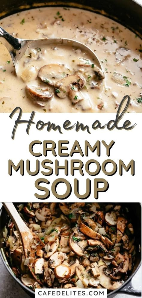 Homemade Cream Of Mushroom Soup, Homemade Cream Of Mushroom, Mushroom Soup Recipe, Cream Soup Recipes, Creamy Mushroom Soup, Mushroom Soup Recipes, Homemade Soup Recipe, Cream Of Mushroom Soup, Delicious Soup Recipes