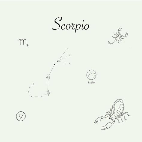 Scorpio Celestial Tattoo, Scorpio Tiny Tattoo, Dainty Scorpio Tattoo, Scorpio Fine Line Tattoo, Small Tattoos Scorpio, Scorpio Tattoo Constellation, Scorpio Hand Tattoo, Scorpio Tattoo Zodiac, Constellation Scorpion