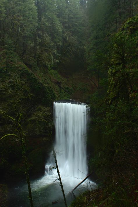 Trail Of 10 Falls Oregon, Corvallis Oregon Aesthetic, Oregon Forest Aesthetic, Oregon Summer Aesthetic, Astoria Oregon Aesthetic, Twilight Oregon, Oregon Twilight, Rainy Oregon, Oregon Houses