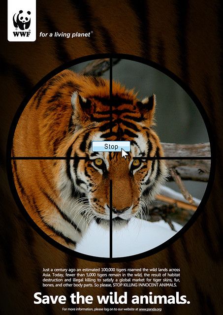 All sizes | Save the wild animals poster | Flickr - Photo Sharing! Save Animals Poster, Diarama Ideas, Save The Tiger, Animals Poster, Tiger Poster, Save Wildlife, Animal Conservation, Stop Animal Cruelty, Animal Habitats