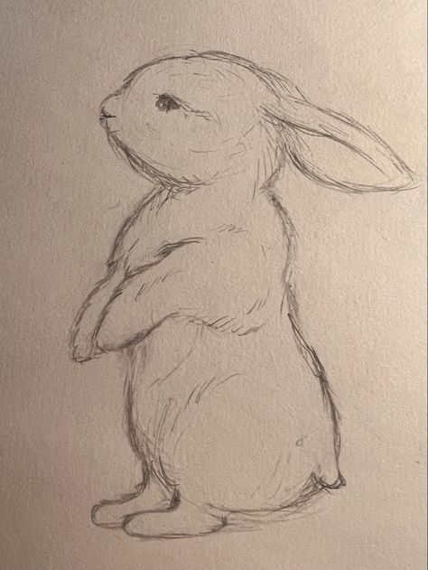 How To Draw A Bunny Face, How To Draw A Rabbit Easy, Bunny Base Drawing, Bunny Drawings Easy, Realistic Bunny Drawing, How To Draw Rabbits, Bunny Plushie Drawing, Cute Rabbit Drawing Easy, Drawing Ideas Bunny