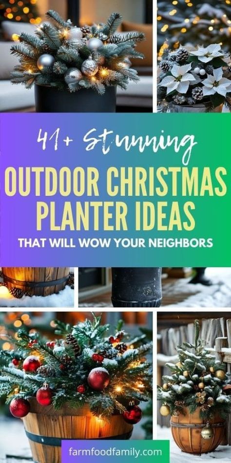 41+ Stunning Outdoor Christmas Planter Ideas That Will Wow Your Neighbors 86 Planters For Christmas Decorations, Christmas Hanging Planters, Diy Christmas Outdoor Planters, Christmas Landscaping Ideas, Outdoor Christmas Hanging Baskets Diy, Outdoor Christmas Planters Farmhouse, Outdoor Planter Christmas Decorations, Outdoor Christmas Entryway, Large Christmas Planters Outdoor