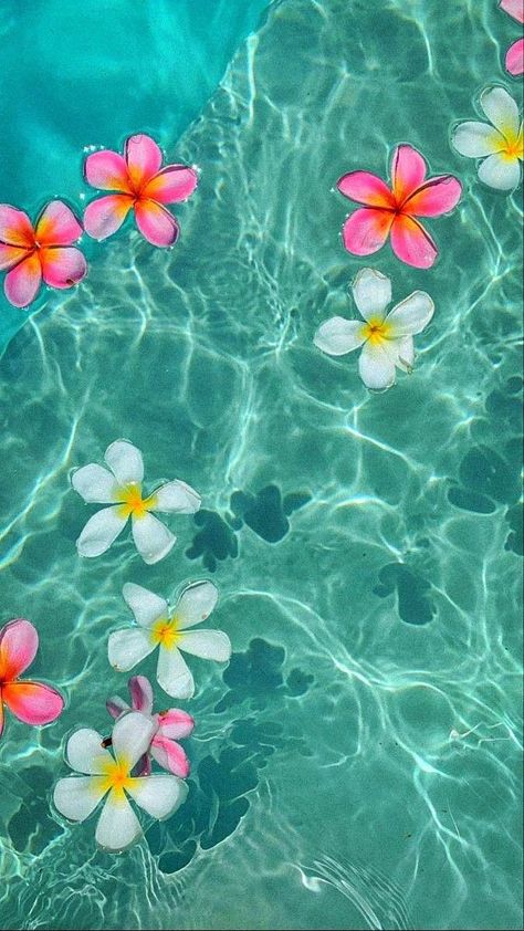 Really Pretty Wallpapers Iphone, Wallpaper Backgrounds For Summer, Summer Pic Aesthetic, Summer Backround Pics, Iphone Wallpaper Summer Aesthetic, Preppy Asthetics Wallpaper, Cute Wallpapers For Summer, Summer Aesthetic Wallpaper Ipad, Summer Asthetic Wallpers