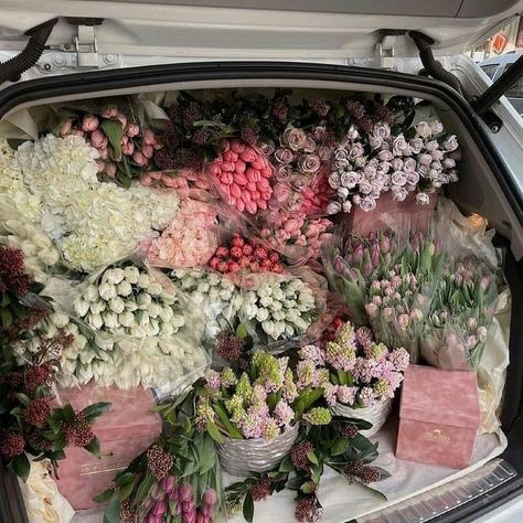 Charlotte York Aesthetic, Charlotte York, Aesthetic 2024, Surreal Photos, Can You Feel It, Boquette Flowers, Nothing But Flowers, Aesthetic Inspiration, Flower Therapy