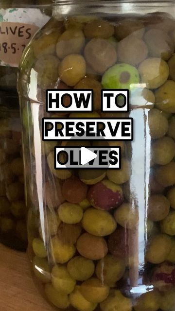 Hannah Moloney on Instagram: "I got this preserving recipe from mates @milkwood  and loved it cause its so easy! Thanks legends 💚

Once they’re ready (probably around 4 months away)  I’ll drain the olives and transfer them into some olive oil with herbs. Alternatively, you could  just make a fresh brine or store them in 50:50 vinegar and water.

What’s your favourite olive preserving technique?" Canning Olives, Olive Preserving, Olive Oil With Herbs, Fresh Olives, Water Bath Canning, Vinegar And Water, 4 Months, 50 50, I Got This