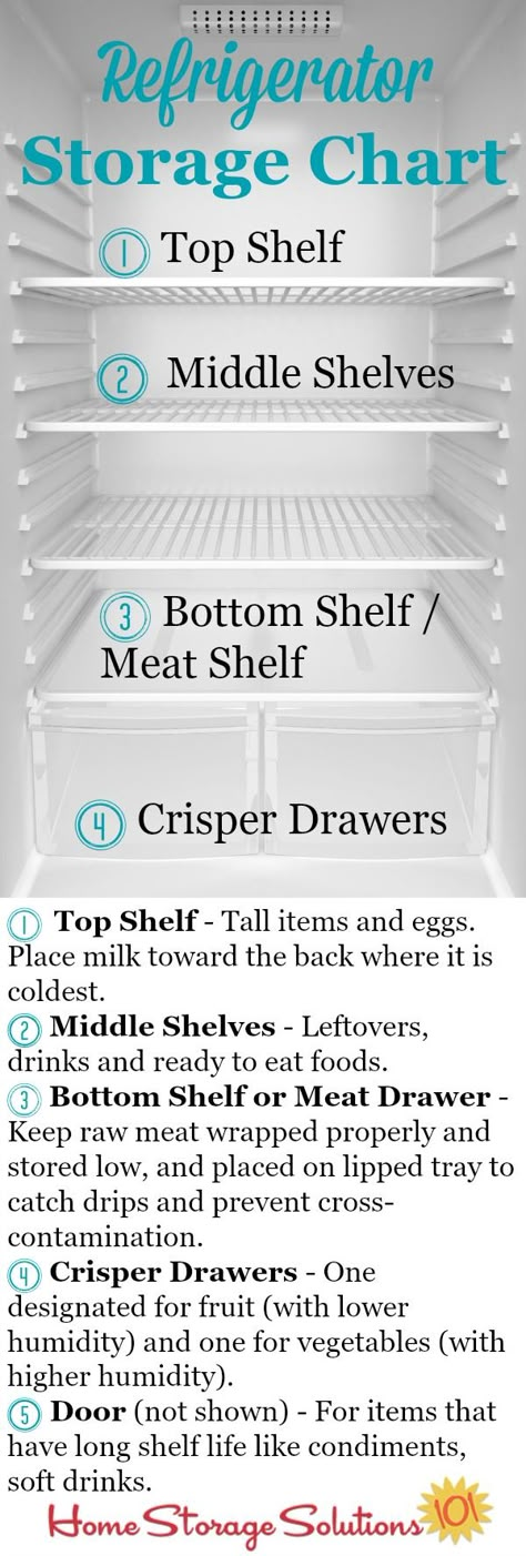 Refrigerator storage chart plus guidelines so you know exactly where to place your food in your fridge to keep it fresh and safe the longest {courtesy of Home Storage Solutions 101} #ad Organize My Life, Refrigerator Organization, Refrigerator Storage, Fridge Organization, Mindfulness Activities, Yoga Exercises, Cleaning Organization, Cleaning And Organizing, New Energy