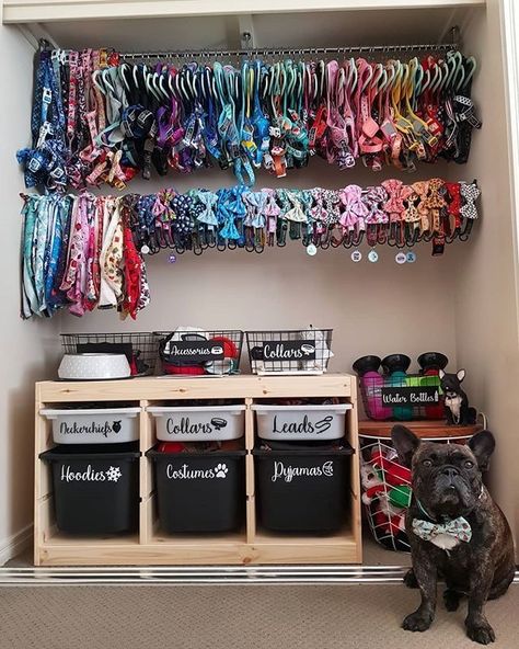 Dog Room Design, Dog Closet, Dog Room Decor, Dog Bedroom, Puppy Room, Dog Organization, Service Dogs Gear, Mom Things, Dog Spaces