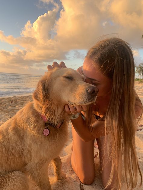 Golden Retriever Girl, Really Cute Dogs, Dream Dog, Golden Retriever Puppy, Retriever Puppy, Cute Animal Photos, Summer Dream, Summer Pictures, Golden Retrievers