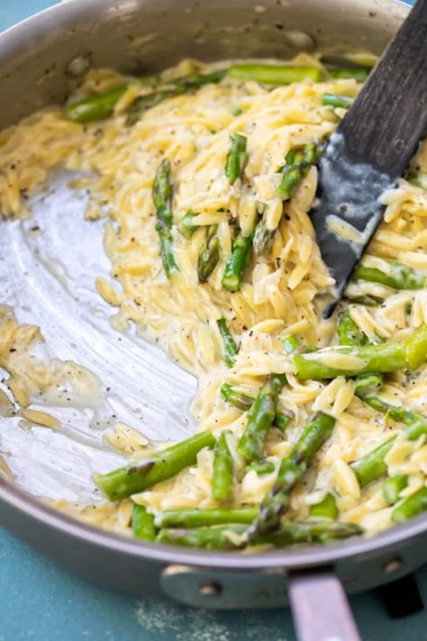 Creamy Lemon Asparagus Orzo, Mushroom Asparagus Orzo, Cheesy Asparagus Orzo, Shrimp Orzo Asparagus Recipes, Creamy Asparagus Pasta, Lemon Asparagus Orzo, Asparagus Orzo Recipes, Orzo And Asparagus Recipes, Shrimp Asparagus Orzo Recipes