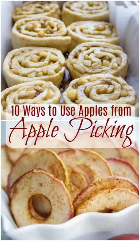 Use Up Apples, Fall Dessert Recipes Apple, Fresh Apple Recipes, Apple Recipes Easy Healthy, Gluten Free Apple Recipes, Recipes Apples, Using Apples, Recipe Using Apples, Apples Recipes