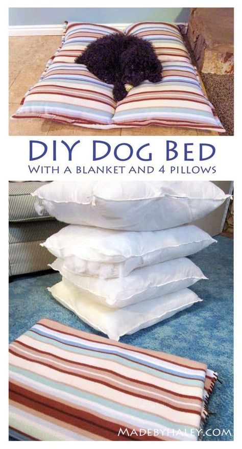 14. BLANKET AND PILLOWS DIY DOG BED Diy Dog Bed Pillow, Pillows Diy, Diy Dog Bed, Dog Pillow Bed, Dog Projects, Dog Crafts, Bed Pillow, Diy Dog, Dog Obedience