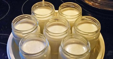 Julie has lived on a farm all her life. She raises goats and she makes cheese and yogurt with the milk. This is the third recipe she has contributed to us. Goat Milk Yogurt, Goat Milk Recipes, Goat Recipes, Making Yogurt, Goat Care, Cheese Maker, Yogurt Maker, Pasteurizing Milk, Homemade Yogurt