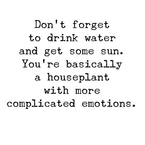 don't forget to drink water and get some sun. Feeling Down Quotes, Down Quotes, Words To Live By Quotes, When Youre Feeling Down, Inspirational Humor, Drinking Quotes, Funny Inspirational Quotes, Funny Quotes About Life, Feeling Down