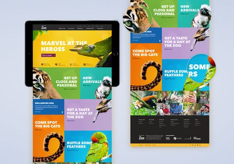 Wellington Zoo | Best Awards Zoo Graphic Design, Safari Branding, Zoo Flyer, Pamphlet Layout, Zoo Brochure, Zoo Website, Zoo Branding, Zoo Poster Design, Dominica Caribbean