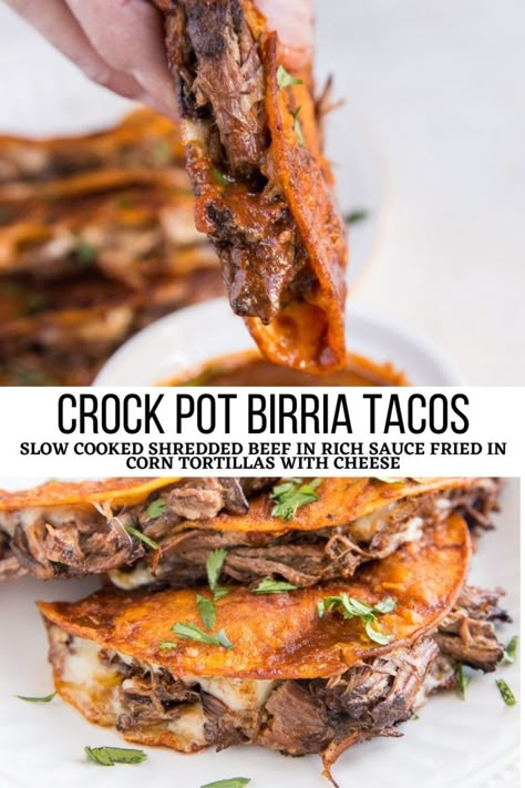 Crock Pot Birria Tacos, Crock Pot Birria, Beef Birria Recipe, Birria Tacos, Dinner Recipes Crockpot, Crockpot Recipes Slow Cooker, Crock Pot Meals, Mexican Food Recipes Authentic, Crockpot Recipes Easy