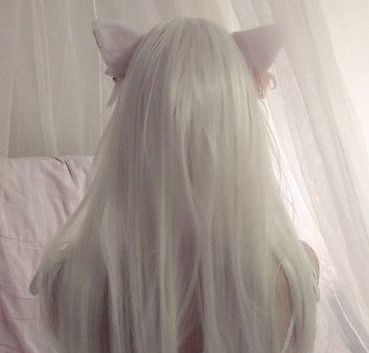 Catgirl Aesthetic, Catty Noir, Angel Aesthetic, Different Aesthetics, Kawaii Girl, Cat Girl, White Aesthetic, Girl Icons, Soft Girl