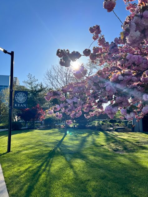 Spring Semester Aesthetic, Kean University, Dark Academia Cottage, L Aesthetic, Goals Vision Board, Academic Aesthetic, College Motivation, Spring Semester, Can You Feel It