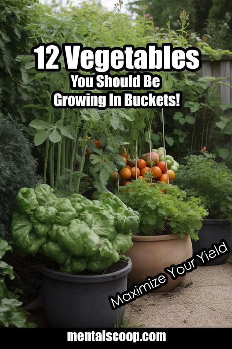 Growing Vegetables In Pots, Bucket Gardening, Gardening Projects, Sensory Garden, Vegetable Garden Diy, Garden Veggies, Garden Help, Veg Garden, Garden Design Ideas