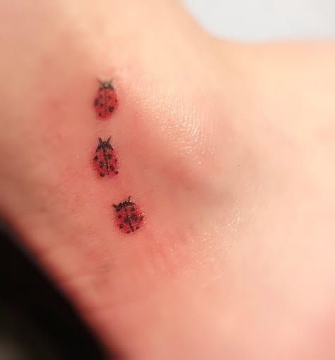 Ladybug Tattoos, Ladybug Tattoo, Lady Bug Tattoo, Funky Tattoos, Bug Tattoo, Cute Little Tattoos, Cute Tiny Tattoos, Dainty Tattoos, Dream Tattoos