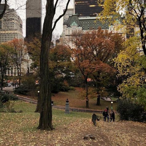 Walking In The Park, Gilmore Girl, Wallpaper Halloween, Season Of The Witch, Rory Gilmore, Best Seasons, We Fall In Love, Autumn Aesthetic, On The Ground