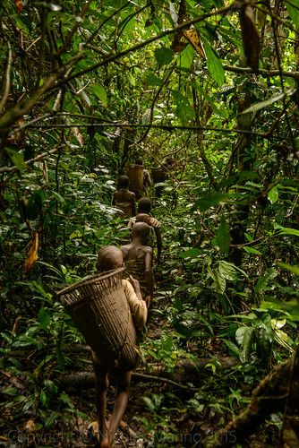 Travel Africa, Central Africa, Sea Sand, Central African Republic, Central African, Africa Travel, Travel Goals, Equatorial Guinea, Mother Nature