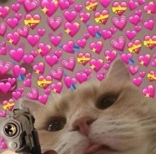 wholesome cat reaction meme love hearts Cat Reaction Pics, Wholesome Cat, Love Reaction, Cat Reaction, Wholesome Pictures, Therapy Cat, Reaction Pic, Cute Messages, Wholesome Memes