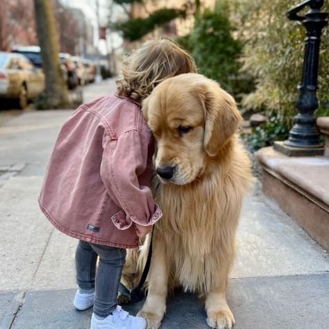 Golden Retriever Family, Golden Retriever Pictures, Robinson Family, Golden Puppies, Dogs And Kids, Animals Of The World, Child Development, Cute Gif, Cuteness Overload