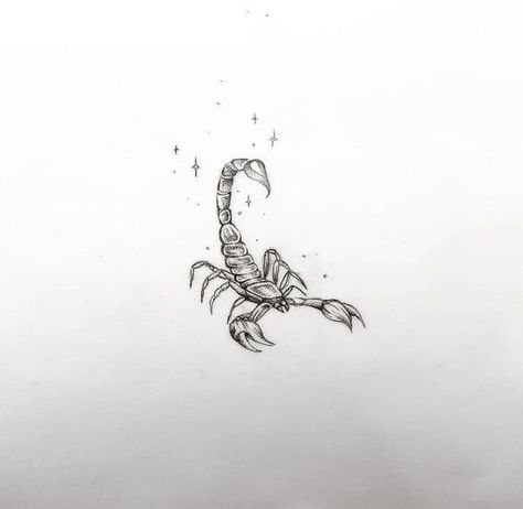 Matching Scorpion Tattoo, Scorpion Feminine Tattoo, Tiny Scorpion Tattoo Design, Scorpio Moon Tattoo Ideas, Scorpion Tattoo Fine Line, Feminine Scorpion Tattoo Ideas, Flaming Tattoo, Scorpion Tattoo Design Feminine, Scorpion Tattoo Feminine