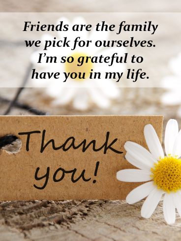 They say that friends are the family we pick for ourselves. That sentiment is perfectly captured in this thank you card to a special friend in your life. With a single daisy and a simple, rustic “Thank You!” note, it's a warm reminder of just how grateful you are to have them in your life, and how much joy they bring to you each and every day. Thank You For Friendship, Great Friends Thankful For, Thank You Quotes For Friends Gratitude, Thank You Notes For Friends, Thank You Friend Quotes Gratitude, Thank You For Gift Quotes, Thank You My Friend, May This Year Bring You Quotes, Thank You For Your Friendship