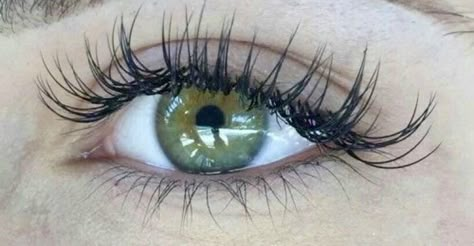 Natural Fake Eyelashes, Book Photos, Smink Inspiration, Make Up Inspo, Beauty Goals, Longer Eyelashes, Long Lashes, Pretty Eyes, Dream Body