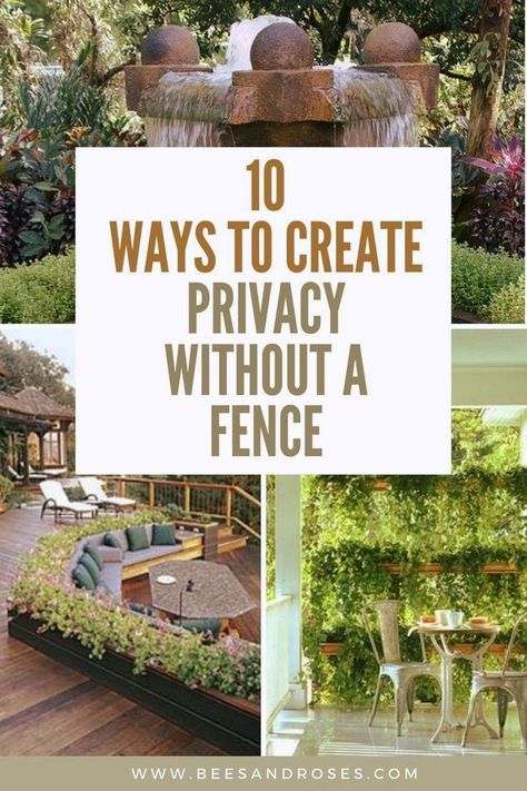 Explore 10 creative ways to add privacy to your outdoor spaces without the need for a traditional fence. These ideas utilize plants, screens, and strategic landscaping to enhance your privacy. Non Fence Privacy Ideas, Garden Design Privacy, Black Chainlink Fence Ideas, Privacy Fence Ideas For High Winds, Sidewalk Privacy Landscaping, Small Garden Screening Ideas, Fence Privacy Ideas Diy, Add Privacy To Front Yard, Large Backyard Privacy Ideas