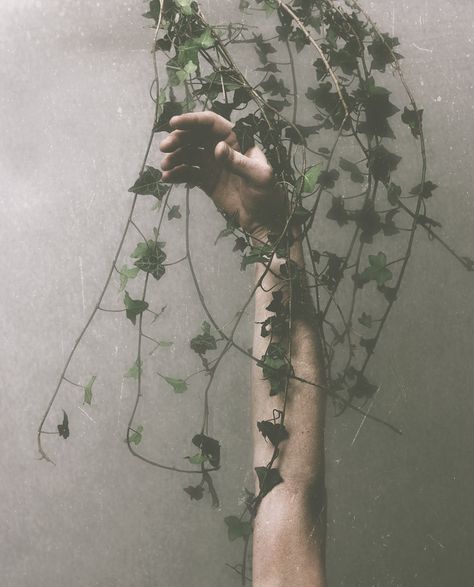 (by Rene Silbernagel) Sprout Dc Poison Ivy, Adam Parrish, Ya Fantasy, Poison Ivy, Chiaroscuro, Gotham City, Character Aesthetic, Dragon Age, Aphrodite