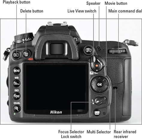 Nikon D7000 Cheat Sheets - http://www.dummies.com/how-to/content/nikon-d7000-for-dummies-cheat-sheet.html Aperture Photography, Nikon Cameras, Nikon Digital Camera, Nikon D500, Plain English, Nikon D700, Sony Photography, Camera Tips, Nikon D7200