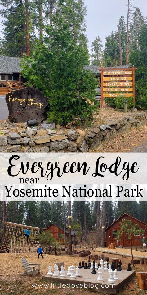 Evergreen Lodge Yosemite, Yosemite Lodging, Yosemite Trip, Family Friendly Resorts, Family Friendly Hotels, Catalina Island, Yosemite National, Us National Parks, California Dreaming