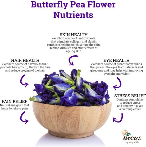 Dried Butterfly, Butterfly Pea Flowers, Pea Flower Tea, Butterfly Pea Tea, Butterfly Pea Flower Tea, Teas Recipes, Herbal Teas Recipes, Brain Booster, Natural Caffeine