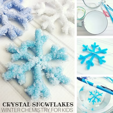 Growing Borax Crystals Fast For Kids - Little Bins for Little Hands Borax Snowflakes, Snowflakes Science, Crystals For Kids, Borax Crystals, Borax Slime, Winter Science, Contact Solution, Growing Crystals, Snowflakes Art