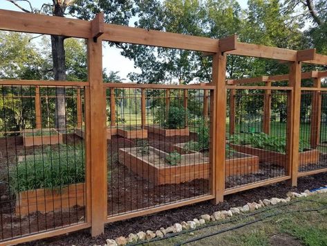 Garden Enclosures, Garden Enclosure Ideas, Garden Enclosure, Deer Fencing, Connecticut House, Fenced Garden, Deer Resistant Garden, Ornamental Wood, Fenced Vegetable Garden