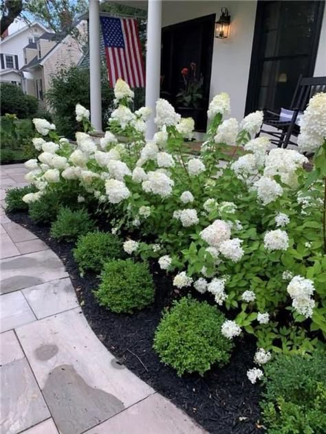 Front Yard Hydrangea, Landscape Ideas Garden, Front Porch Landscape, Boxwood Landscaping, Tools Tattoo, Landscape Ideas Front Yard Curb Appeal, Landscaping Garden Design, Hydrangea Landscaping, Front Flower Beds