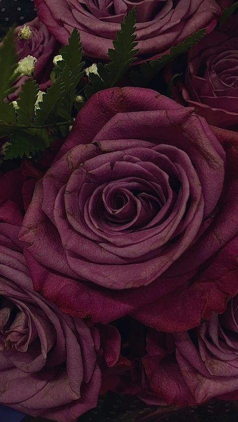 Mauve Asthetic Photos, Mauve Asethic, Midnight Plum Aesthetic, Dark Mauve Flowers, Light Mauve Aesthetic, Pink Mauve Aesthetic, Dark Mauve Aesthetic, Midnight Plum Color, Plum Aesthetic Color