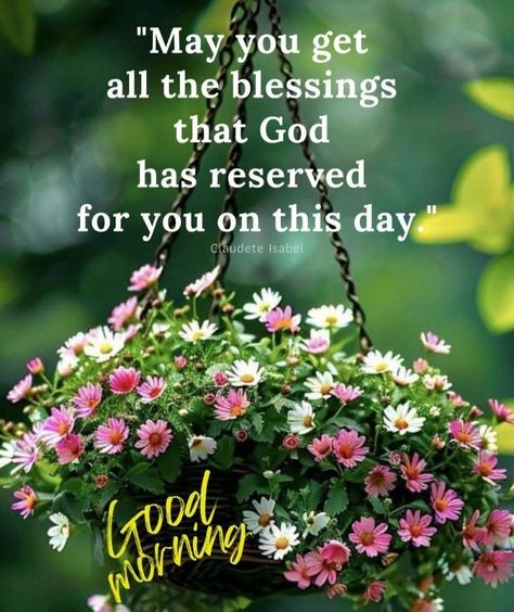 Blessed Morning Wishes, Good Bless You, Good Morning Have A Blessed Sunday, Wishing You A Beautiful Day, Good Morning God Bless You, Good Morning Blessings Inspiration Beautiful, Good Morning Blessings Prayer, Good Morning Prayers And Blessings, Comforting Sayings