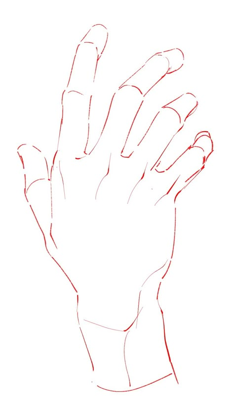 Hand Reference Drawing, Anatomy Tips, Hand References, Art Guide, Practice Drawing, Hand Drawing Reference, Body Reference Drawing, Hand Reference, Getting A Tattoo