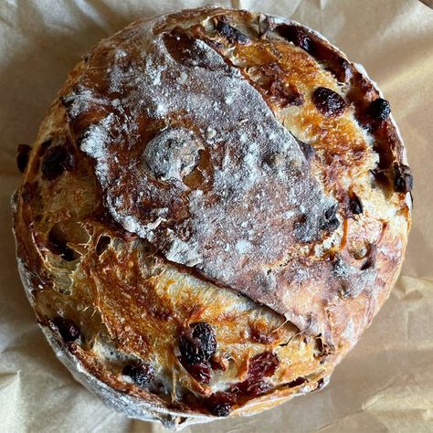 Cranberry Walnut Artisan Bread - Harvest & Nourish Cranberry Walnut Artisan Bread, Artisan Bread Recipe, Walnut Bread Recipe, Cranberry Walnut Bread, Breakfast Bread Recipes, Artisan Bread Recipes, Walnut Bread, Cranberry Bread, Dried Berries